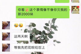 枣强专业催债公司的市场需求和前景分析